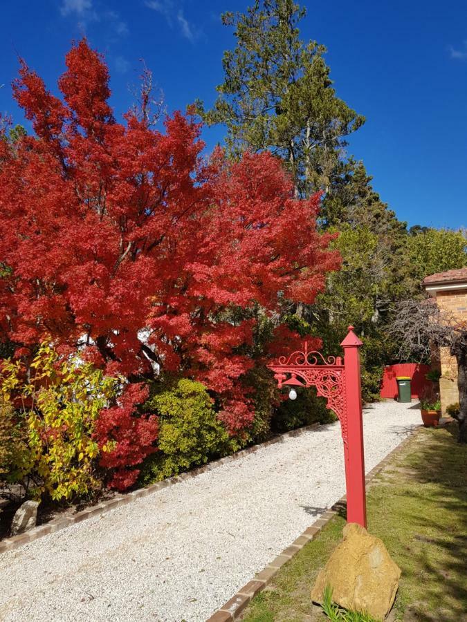 Winston Cottage At Three Sisters Катумба Экстерьер фото